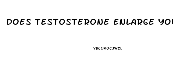 Does Testosterone Enlarge Your Penis