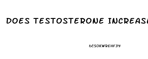 Does Testosterone Increase Penis Length