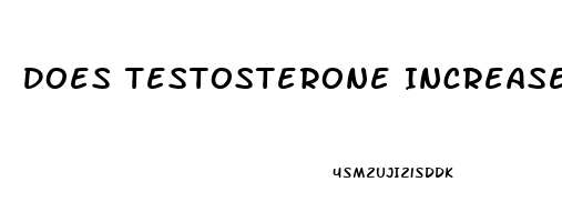 Does Testosterone Increase Penis Size