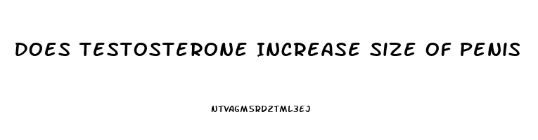 Does Testosterone Increase Size Of Penis