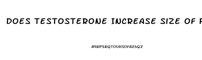 Does Testosterone Increase Size Of Penis