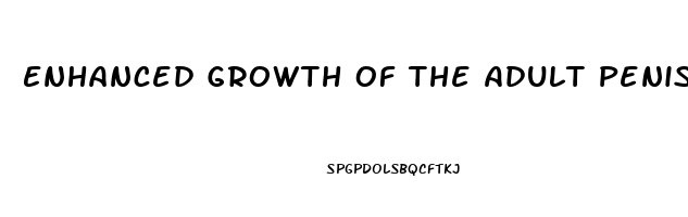 Enhanced Growth Of The Adult Penis With Vitamin D 3