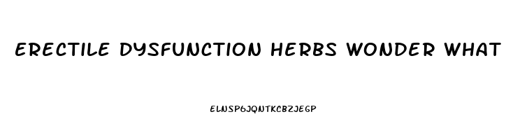 Erectile Dysfunction Herbs Wonder What Works