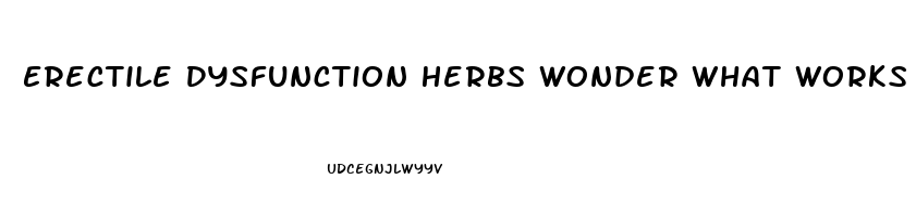 Erectile Dysfunction Herbs Wonder What Works