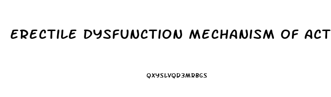 Erectile Dysfunction Mechanism Of Action