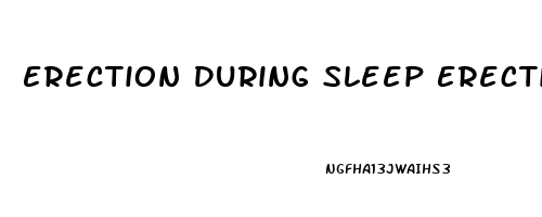 Erection During Sleep Erectile Dysfunction