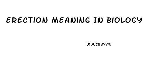 Erection Meaning In Biology