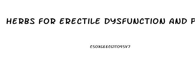 Herbs For Erectile Dysfunction And Premature Ejaculation