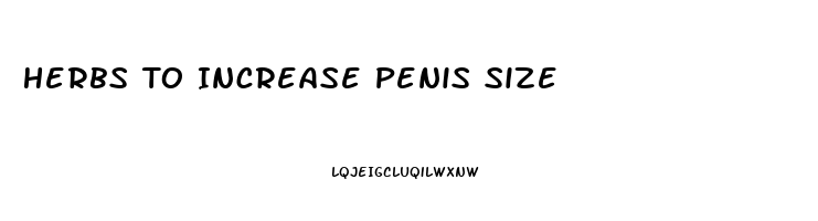 Herbs To Increase Penis Size