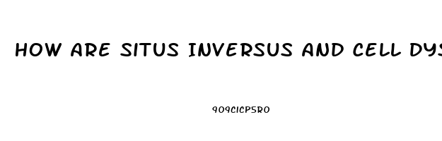 How Are Situs Inversus And Cell Dysfunction Related