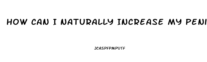 How Can I Naturally Increase My Penis Size