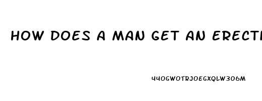 How Does A Man Get An Erection