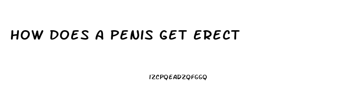 How Does A Penis Get Erect