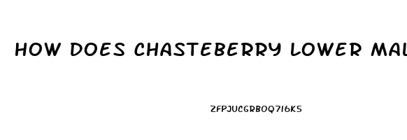 How Does Chasteberry Lower Male Libido