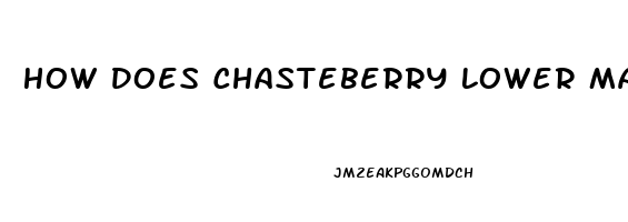 How Does Chasteberry Lower Male Libido