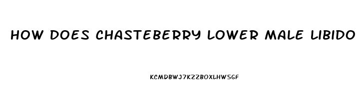 How Does Chasteberry Lower Male Libido