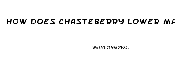 How Does Chasteberry Lower Male Libido