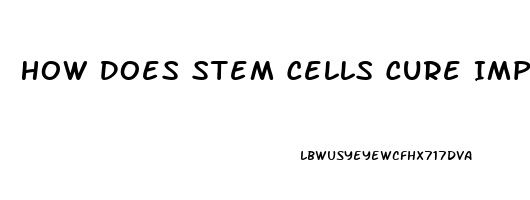 How Does Stem Cells Cure Impotence