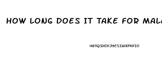 How Long Does It Take For Male Enhancement Pills To Work