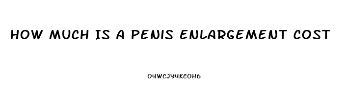 How Much Is A Penis Enlargement Cost