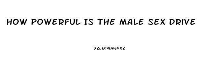 How Powerful Is The Male Sex Drive