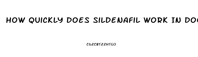 How Quickly Does Sildenafil Work In Dogs