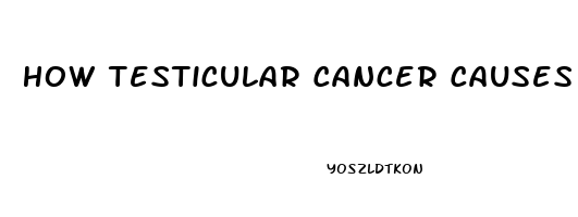 How Testicular Cancer Causes Impotence