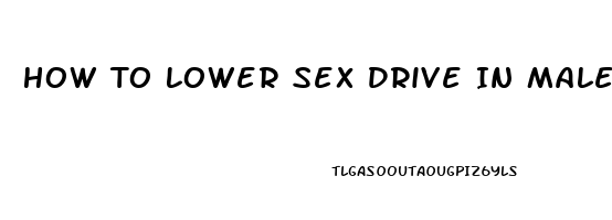 How To Lower Sex Drive In Males