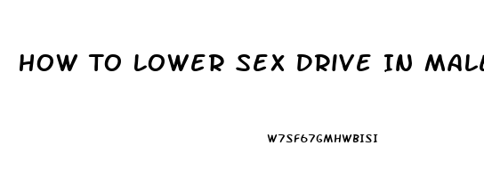 How To Lower Sex Drive In Males