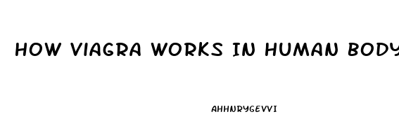 How Viagra Works In Human Body