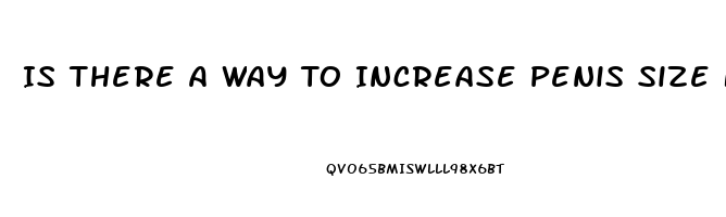 Is There A Way To Increase Penis Size Naturally