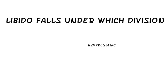 Libido Falls Under Which Division Of Personality