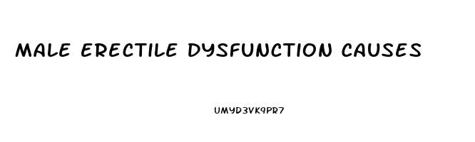 Male Erectile Dysfunction Causes