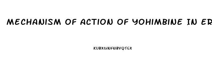 Mechanism Of Action Of Yohimbine In Erectile Dysfunction