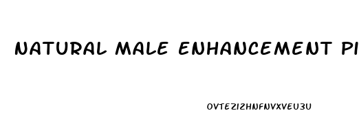 Natural Male Enhancement Pills At Walmart