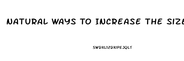 Natural Ways To Increase The Size Of Your Penis