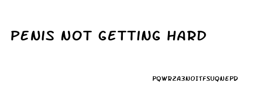 Penis Not Getting Hard