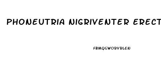 Phoneutria Nigriventer Erectile Dysfunction