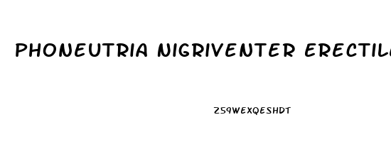 Phoneutria Nigriventer Erectile Dysfunction