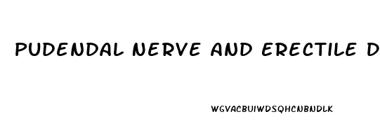 Pudendal Nerve And Erectile Dysfunction