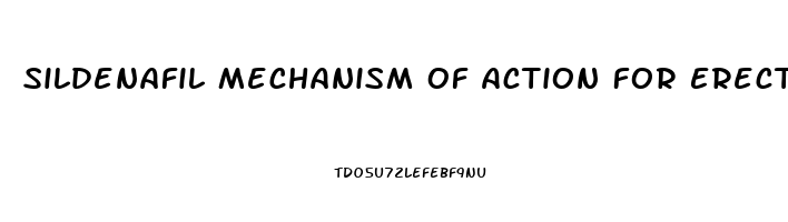 Sildenafil Mechanism Of Action For Erectile Dysfunction