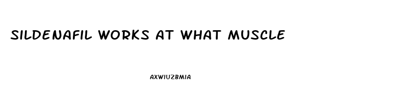 Sildenafil Works At What Muscle