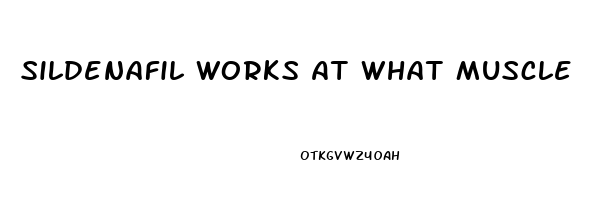 Sildenafil Works At What Muscle