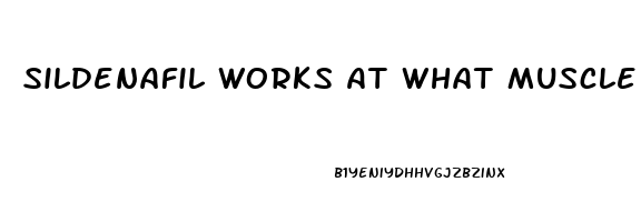 Sildenafil Works At What Muscle
