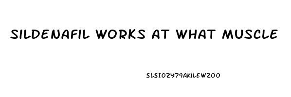 Sildenafil Works At What Muscle