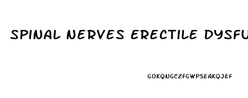 Spinal Nerves Erectile Dysfunction