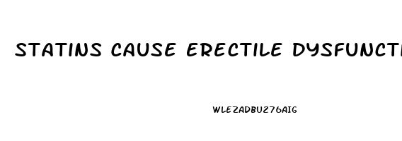 Statins Cause Erectile Dysfunction