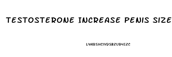 Testosterone Increase Penis Size
