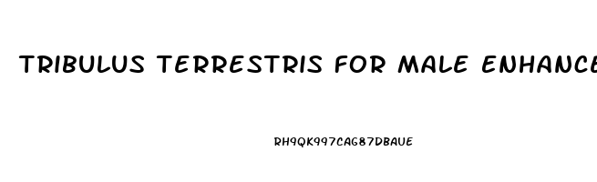 Tribulus Terrestris For Male Enhancement