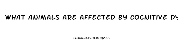 What Animals Are Affected By Cognitive Dysfunction